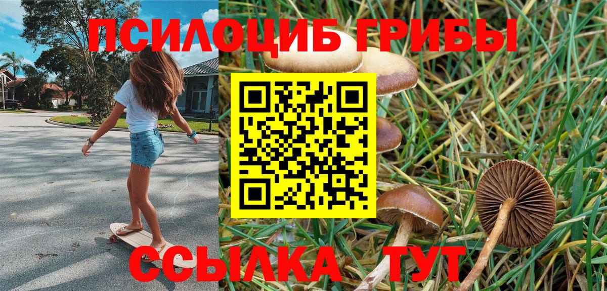 Галлюциногенные грибы Psilocybe  Галлюциногенные грибы GOLDEN TEACHER  Новозыбков  Вход с VPN 