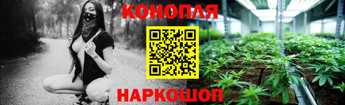 Бошки марихуана план Новозыбков